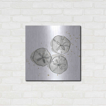 Luxe Metal Art 'Sand Dollar III' by Chris Paschke, Metal Wall Art,24x24