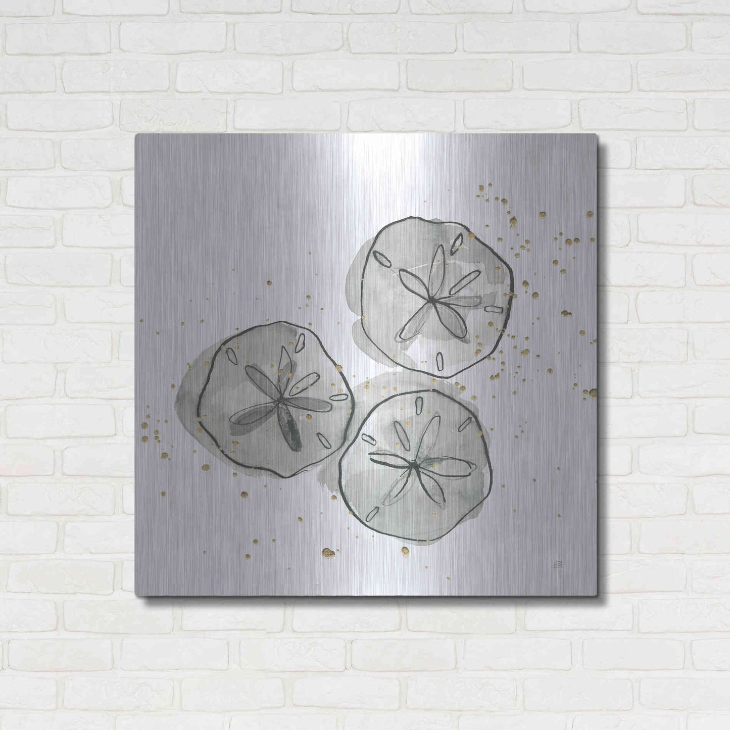 Luxe Metal Art 'Sand Dollar III' by Chris Paschke, Metal Wall Art,36x36