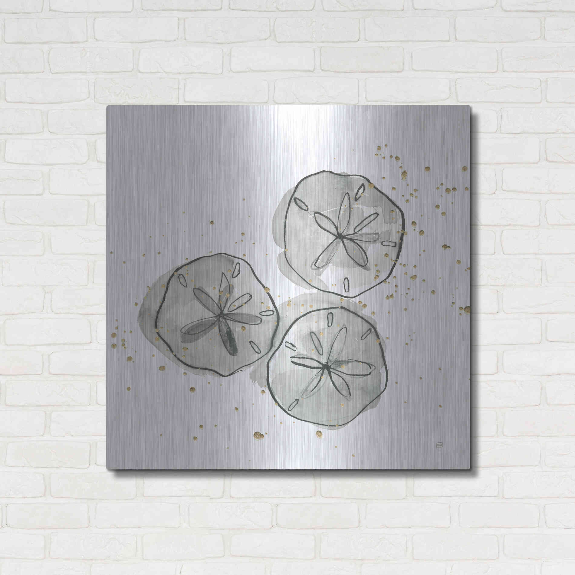 Luxe Metal Art 'Sand Dollar III' by Chris Paschke, Metal Wall Art,36x36