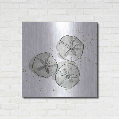 Luxe Metal Art 'Sand Dollar III' by Chris Paschke, Metal Wall Art,36x36