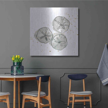 Luxe Metal Art 'Sand Dollar III' by Chris Paschke, Metal Wall Art,36x36
