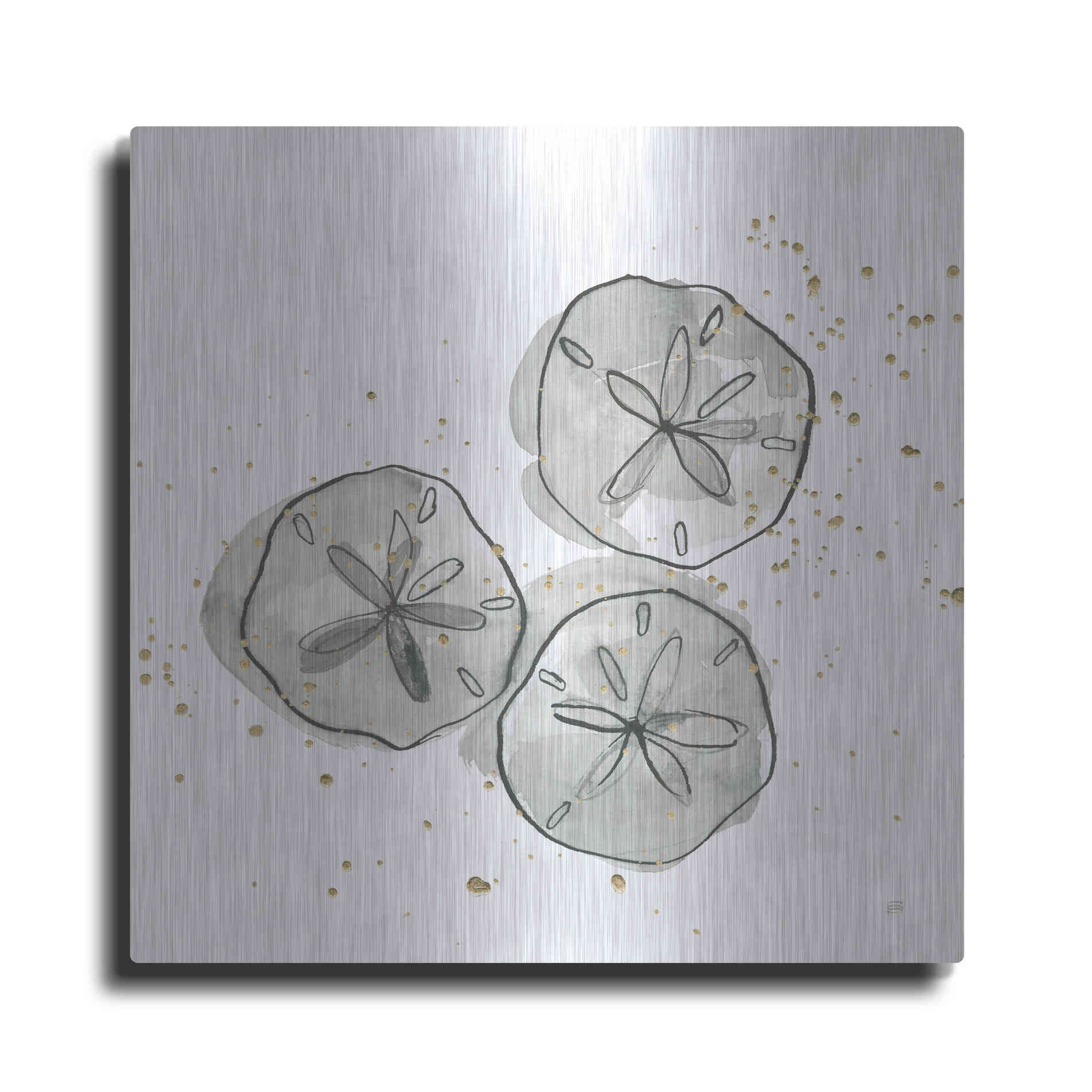 Luxe Metal Art 'Sand Dollar III' by Chris Paschke, Metal Wall Art