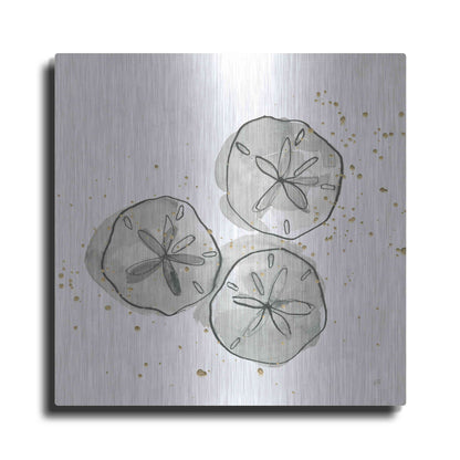 Luxe Metal Art 'Sand Dollar III' by Chris Paschke, Metal Wall Art