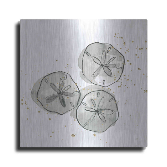 Luxe Metal Art 'Sand Dollar III' by Chris Paschke, Metal Wall Art