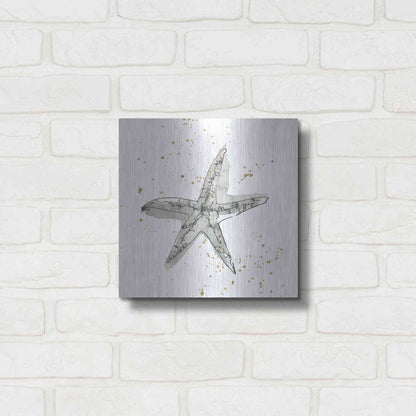 Luxe Metal Art 'Starfish I' by Chris Paschke, Metal Wall Art,12x12