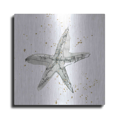 Luxe Metal Art 'Starfish I' by Chris Paschke, Metal Wall Art