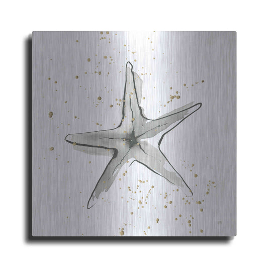 Luxe Metal Art 'Starfish II' by Chris Paschke, Metal Wall Art