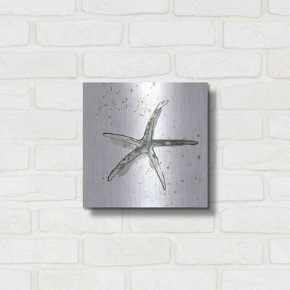 Luxe Metal Art 'Starfish III' by Chris Paschke, Metal Wall Art,12x12