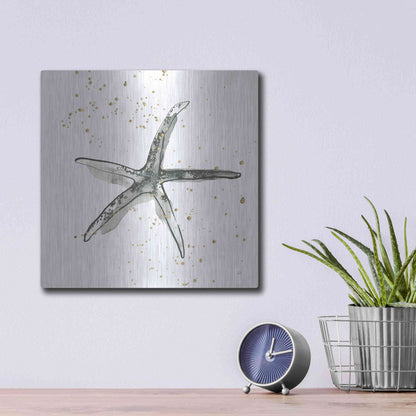 Luxe Metal Art 'Starfish III' by Chris Paschke, Metal Wall Art,12x12
