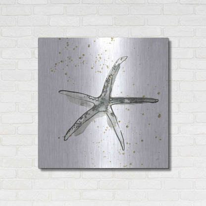 Luxe Metal Art 'Starfish III' by Chris Paschke, Metal Wall Art,36x36