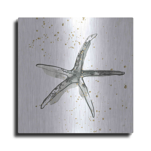 Luxe Metal Art 'Starfish III' by Chris Paschke, Metal Wall Art