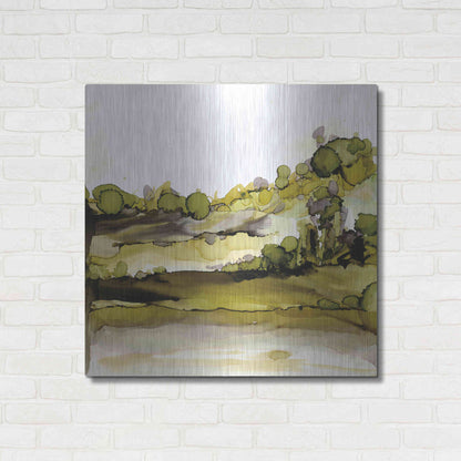 Luxe Metal Art 'Greenscape II' by Chris Paschke, Metal Wall Art,36x36
