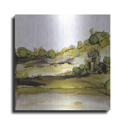 Luxe Metal Art 'Greenscape II' by Chris Paschke, Metal Wall Art
