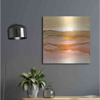 Luxe Metal Art 'Desertscape I' by Chris Paschke, Metal Wall Art,24x24