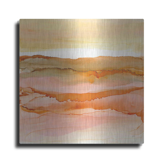 Luxe Metal Art 'Desertscape I' by Chris Paschke, Metal Wall Art