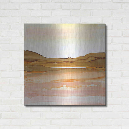 Luxe Metal Art 'Desertscape II' by Chris Paschke, Metal Wall Art,36x36