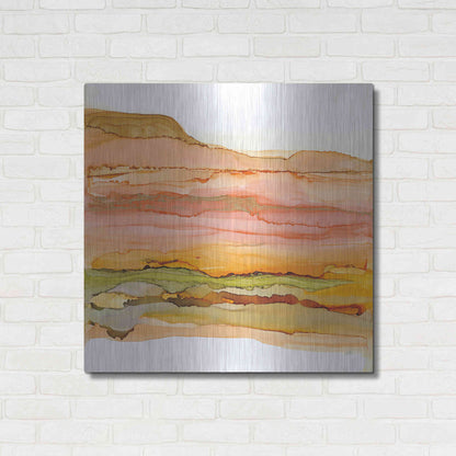 Luxe Metal Art 'Desertscape III' by Chris Paschke, Metal Wall Art,36x36