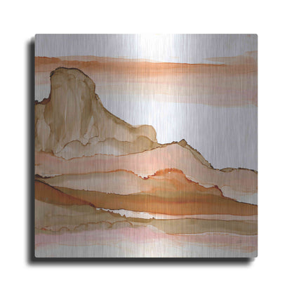 Luxe Metal Art 'Desertscape V' by Chris Paschke, Metal Wall Art