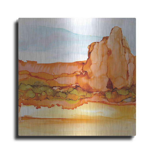 Luxe Metal Art 'Desertscape VII' by Chris Paschke, Metal Wall Art