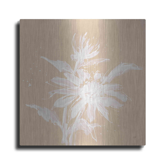 Luxe Metal Art 'Echinacea II' by Chris Paschke, Metal Wall Art