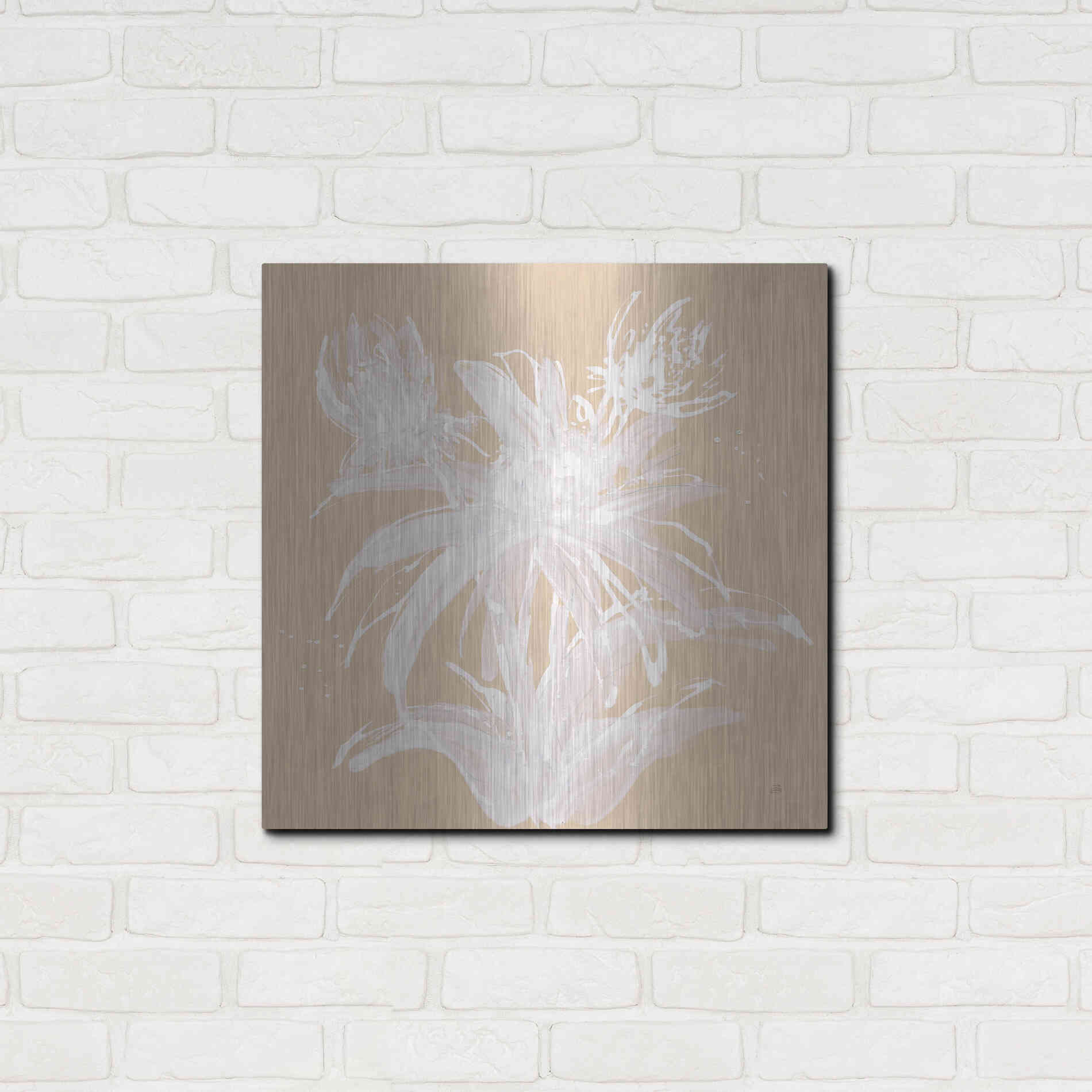 Luxe Metal Art 'Echinacea III' by Chris Paschke, Metal Wall Art,24x24