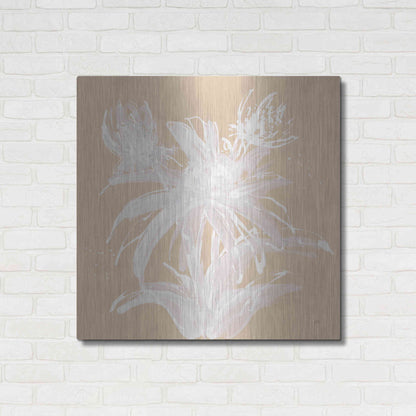 Luxe Metal Art 'Echinacea III' by Chris Paschke, Metal Wall Art,36x36