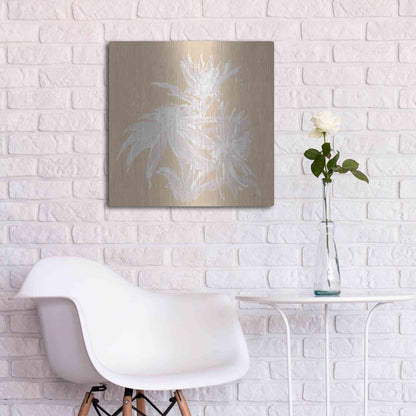 Luxe Metal Art 'Echinacea IV' by Chris Paschke, Metal Wall Art,24x24