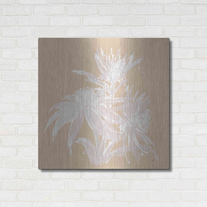 Luxe Metal Art 'Echinacea IV' by Chris Paschke, Metal Wall Art,36x36