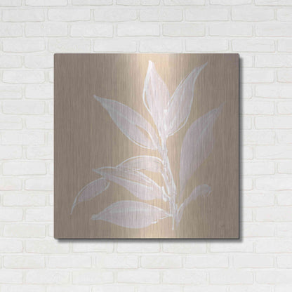 Luxe Metal Art 'Leaf Study I' by Chris Paschke, Metal Wall Art,36x36