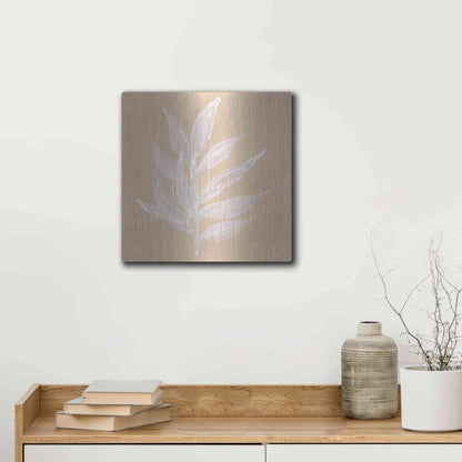 Luxe Metal Art 'Leaf Study IV' by Chris Paschke, Metal Wall Art,12x12