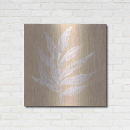 Luxe Metal Art 'Leaf Study IV' by Chris Paschke, Metal Wall Art,36x36
