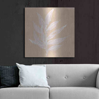 Luxe Metal Art 'Leaf Study IV' by Chris Paschke, Metal Wall Art,36x36