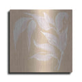 Luxe Metal Art 'Leaf Study V' by Chris Paschke, Metal Wall Art