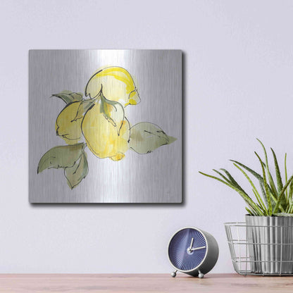 Luxe Metal Art 'Lemons I' by Chris Paschke, Metal Wall Art,12x12