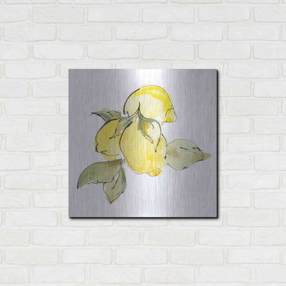 Luxe Metal Art 'Lemons I' by Chris Paschke, Metal Wall Art,24x24