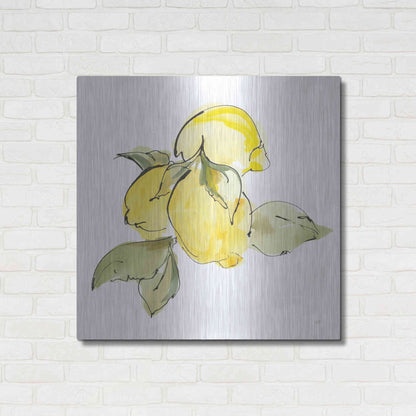 Luxe Metal Art 'Lemons I' by Chris Paschke, Metal Wall Art,36x36