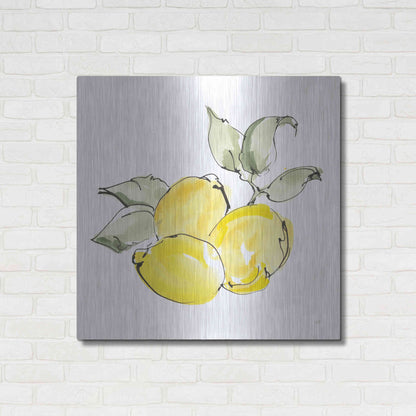 Luxe Metal Art 'Lemons II' by Chris Paschke, Metal Wall Art,36x36