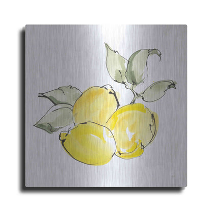 Luxe Metal Art 'Lemons II' by Chris Paschke, Metal Wall Art