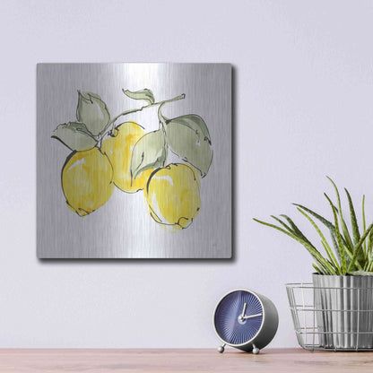 Luxe Metal Art 'Lemons IV' by Chris Paschke, Metal Wall Art,12x12