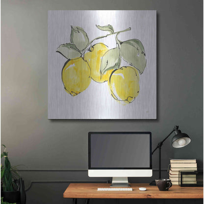 Luxe Metal Art 'Lemons IV' by Chris Paschke, Metal Wall Art,36x36