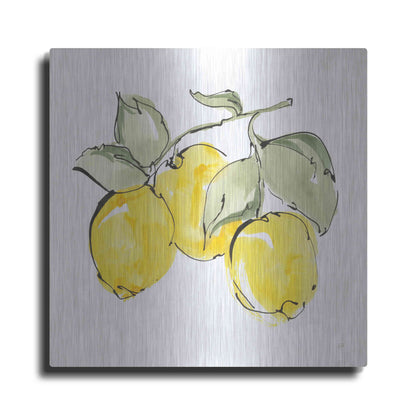 Luxe Metal Art 'Lemons IV' by Chris Paschke, Metal Wall Art