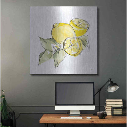 Luxe Metal Art 'Lemon Still Life I' by Chris Paschke, Metal Wall Art,36x36