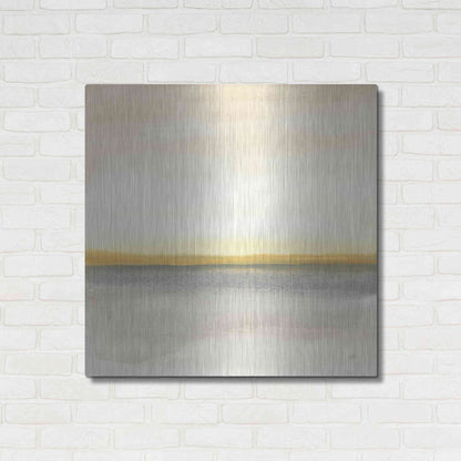 Luxe Metal Art 'Flatland I' by Chris Paschke, Metal Wall Art,36x36