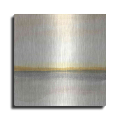 Luxe Metal Art 'Flatland I' by Chris Paschke, Metal Wall Art