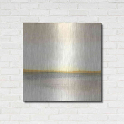Luxe Metal Art 'Flatland II' by Chris Paschke, Metal Wall Art,36x36