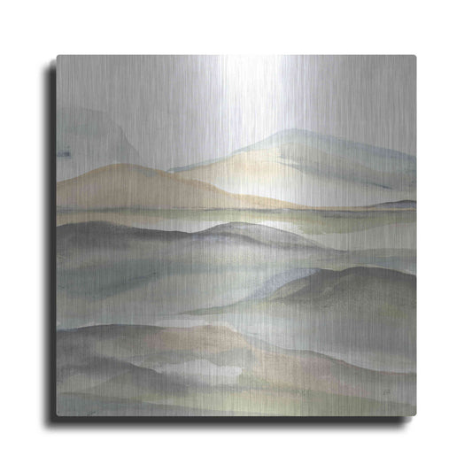 Luxe Metal Art 'Valleyscape I' by Chris Paschke, Metal Wall Art