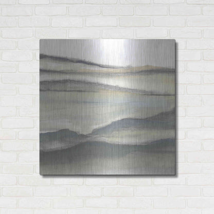 Luxe Metal Art 'Valleyscape II' by Chris Paschke, Metal Wall Art,36x36