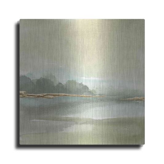 Luxe Metal Art 'Gold Earth IV' by Chris Paschke, Metal Wall Art