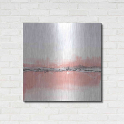 Luxe Metal Art 'Gray Cantaloupe II' by Chris Paschke, Metal Wall Art,36x36