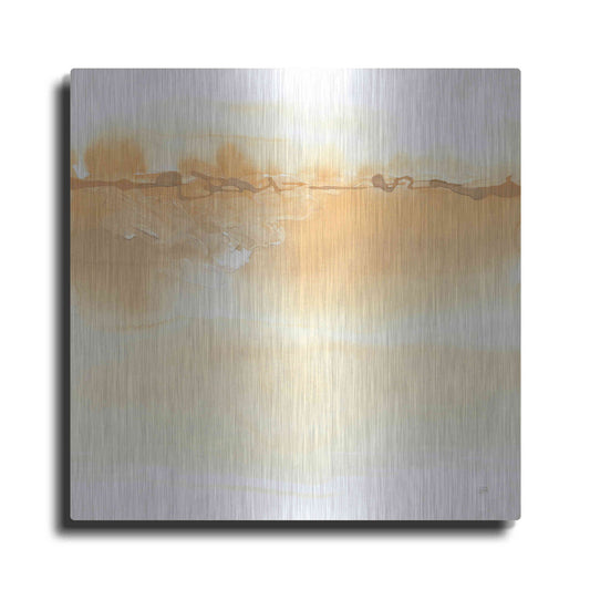 Luxe Metal Art 'Neutral Turmeric I' by Chris Paschke, Metal Wall Art